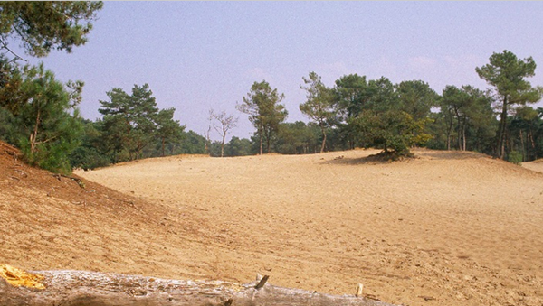 Soesterduinen